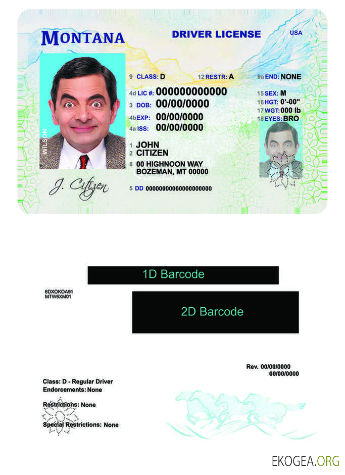 Usa Montana template